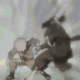 th_chakrakyubi4ei1.gif