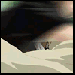 th_191.gif