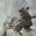 th_naruto163.gif