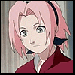 th_sakura101.gif